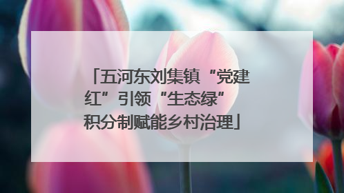 五河东刘集镇“党建红”引领“生态绿” 积分制赋能乡村治理