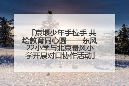 京堰少年手拉手 共绘教育同心圆——东风22小学与北京景风小学开展对口协作活动