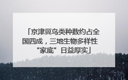 京津冀鸟类种数约占全国四成，三地生物多样性“家底”日益厚实