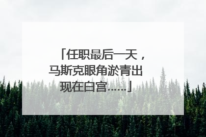 任职最后一天，马斯克眼角淤青出现在白宫……