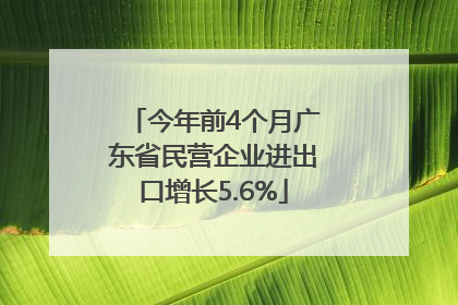 今年前4个月广东省民营企业进出口增长5.6%