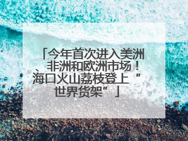 今年首次进入美洲、非洲和欧洲市场！海口火山荔枝登上“世界货架”