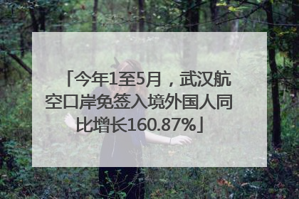今年1至5月，武汉航空口岸免签入境外国人同比增长160.87%