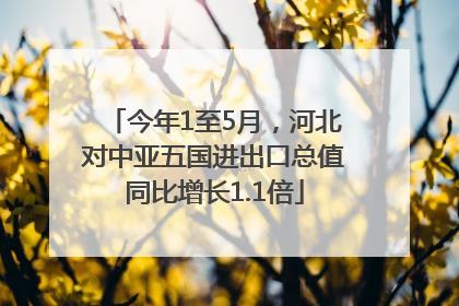 今年1至5月，河北对中亚五国进出口总值同比增长1.1倍