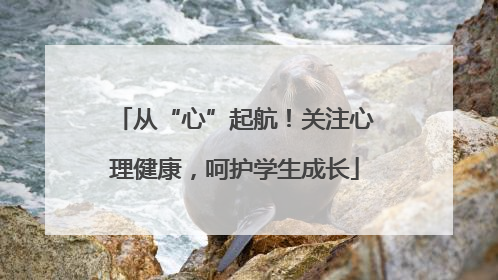 从“心”起航！关注心理健康，呵护学生成长