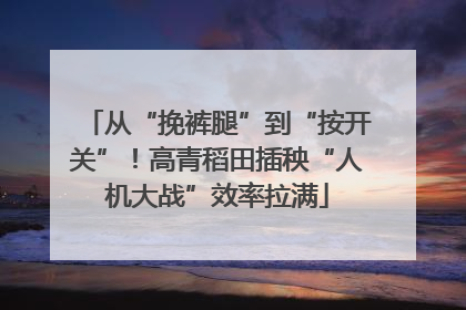 从“挽裤腿”到“按开关”！高青稻田插秧“人机大战”效率拉满