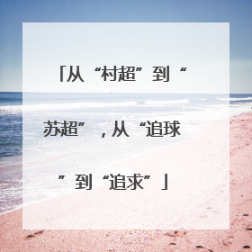 从“村超”到“苏超”，从“追球”到“追求”