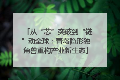 从“芯”突破到“链”动全球：青岛隐形独角兽重构产业新生态