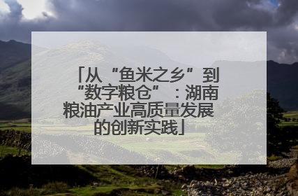 从“鱼米之乡”到“数字粮仓”：湖南粮油产业高质量发展的创新实践
