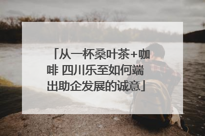 从一杯桑叶茶+咖啡 四川乐至如何端出助企发展的诚意