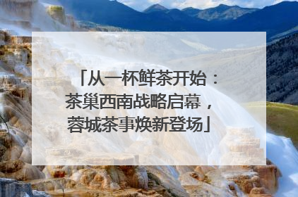 从一杯鲜茶开始：茶巢西南战略启幕，蓉城茶事焕新登场