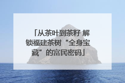 从茶叶到茶籽 解锁福建茶树“全身宝藏”的富民密码