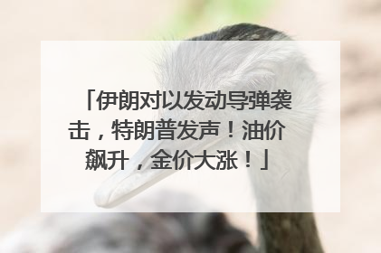 伊朗对以发动导弹袭击，特朗普发声！油价飙升，金价大涨！