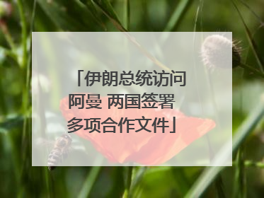 伊朗总统访问阿曼 两国签署多项合作文件