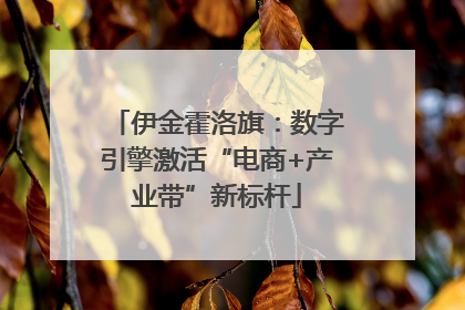 伊金霍洛旗：数字引擎激活“电商+产业带”新标杆