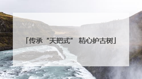 传承“天把式” 精心护古树