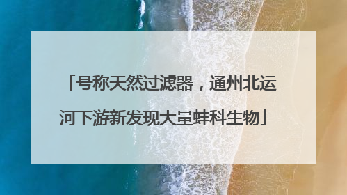 号称天然过滤器，通州北运河下游新发现大量蚌科生物