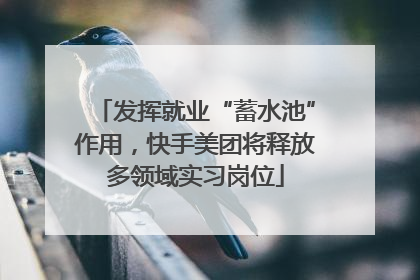 发挥就业“蓄水池”作用，快手美团将释放多领域实习岗位