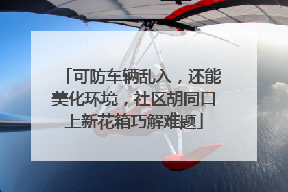 可防车辆乱入，还能美化环境，社区胡同口上新花箱巧解难题