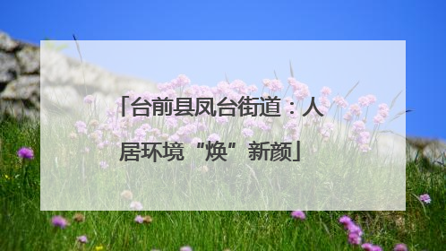 台前县凤台街道：人居环境“焕”新颜