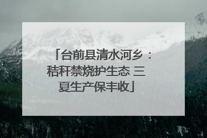 台前县清水河乡：秸秆禁烧护生态 三夏生产保丰收
