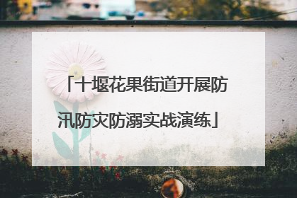 十堰花果街道开展防汛防灾防溺实战演练