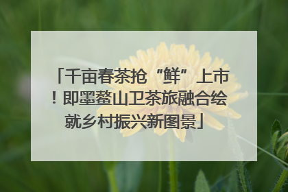 千亩春茶抢“鲜”上市！即墨鳌山卫茶旅融合绘就乡村振兴新图景
