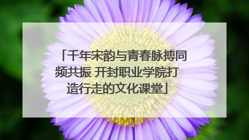 千年宋韵与青春脉搏同频共振 开封职业学院打造行走的文化课堂