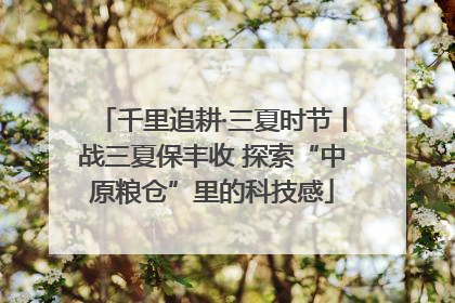 千里追耕·三夏时节丨战三夏保丰收 探索“中原粮仓”里的科技感