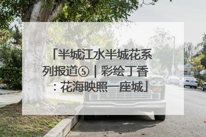 半城江水半城花系列报道⑤｜彩绘丁香：花海映照一座城
