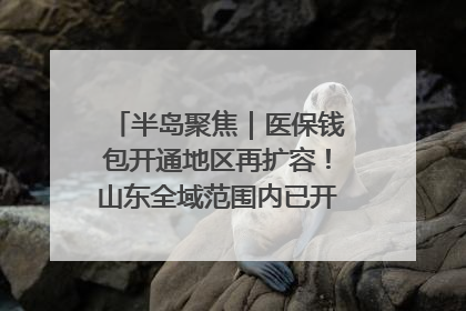 半岛聚焦｜医保钱包开通地区再扩容！山东全域范围内已开通，有何用处？如何操作？速戳→