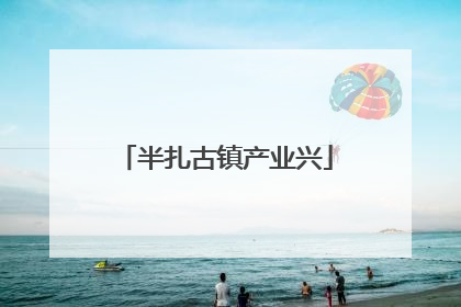 半扎古镇产业兴