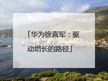 华为徐直军：驱动增长的路径