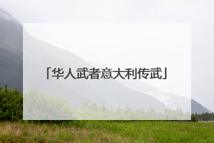 华人武者意大利传武