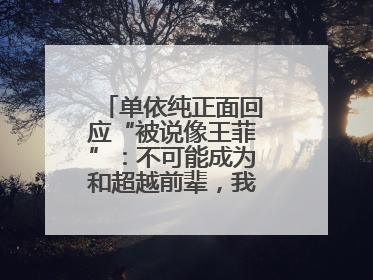 单依纯正面回应“被说像王菲”：不可能成为和超越前辈，我想致敬他们