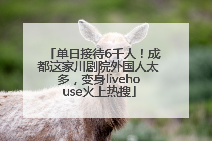 单日接待6千人！成都这家川剧院外国人太多，变身livehouse火上热搜