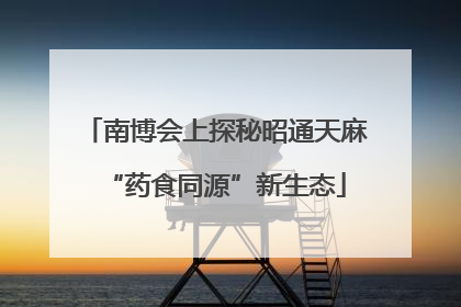 南博会上探秘昭通天麻“药食同源”新生态
