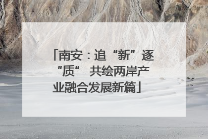南安：追“新”逐“质” 共绘两岸产业融合发展新篇