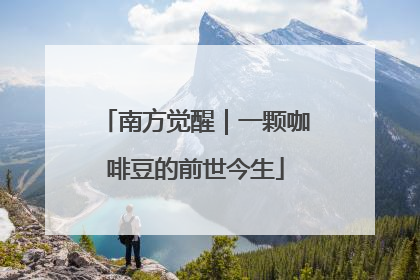 南方觉醒｜一颗咖啡豆的前世今生