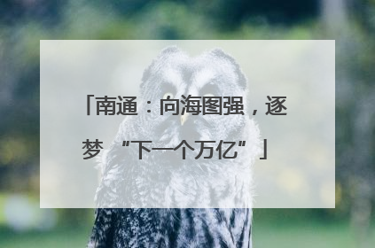 南通：向海图强，逐梦 “下一个万亿”