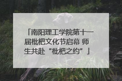 南阳理工学院第十一届枇杷文化节启幕 师生共赴“枇杷之约”