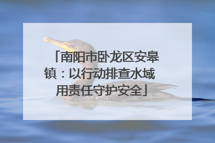 南阳市卧龙区安皋镇：以行动排查水域 用责任守护安全