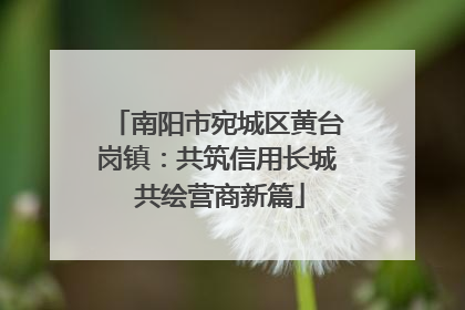 南阳市宛城区黄台岗镇：共筑信用长城 共绘营商新篇