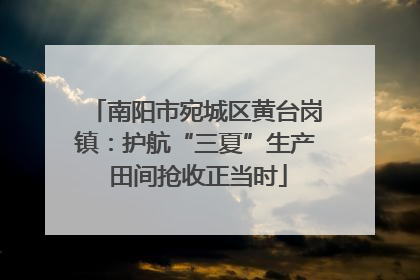 南阳市宛城区黄台岗镇：护航“三夏”生产 田间抢收正当时