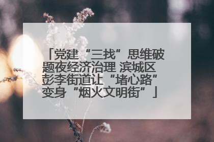 党建“三找”思维破题夜经济治理 滨城区彭李街道让“堵心路”变身“烟火文明街”
