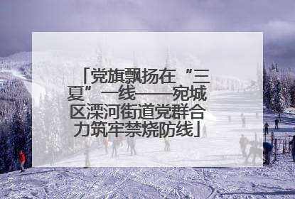 党旗飘扬在“三夏”一线——宛城区溧河街道党群合力筑牢禁烧防线