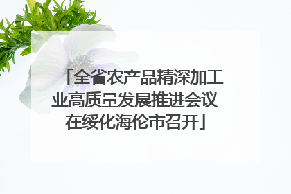 全省农产品精深加工业高质量发展推进会议在绥化海伦市召开