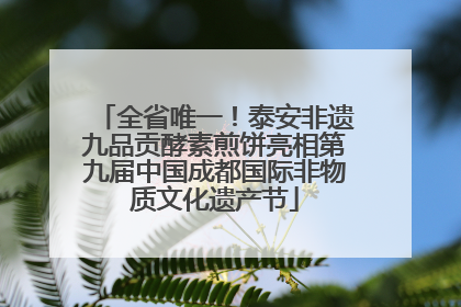 全省唯一！泰安非遗九品贡酵素煎饼亮相第九届中国成都国际非物质文化遗产节