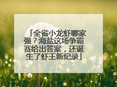 全省小龙虾哪家强？海盐这场争霸赛给出答案，还诞生了虾王新纪录