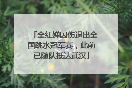 全红婵因伤退出全国跳水冠军赛，此前已随队抵达武汉